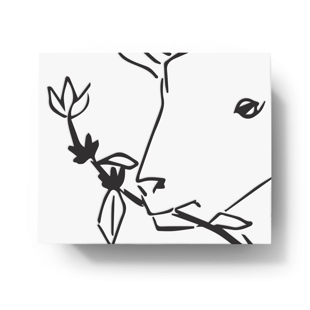 La Cabra Coffee Roasters Seasonal Coffees Cachoeira 5 La Cabra Coffee Roasters Seasonal Coffees Cachoeira