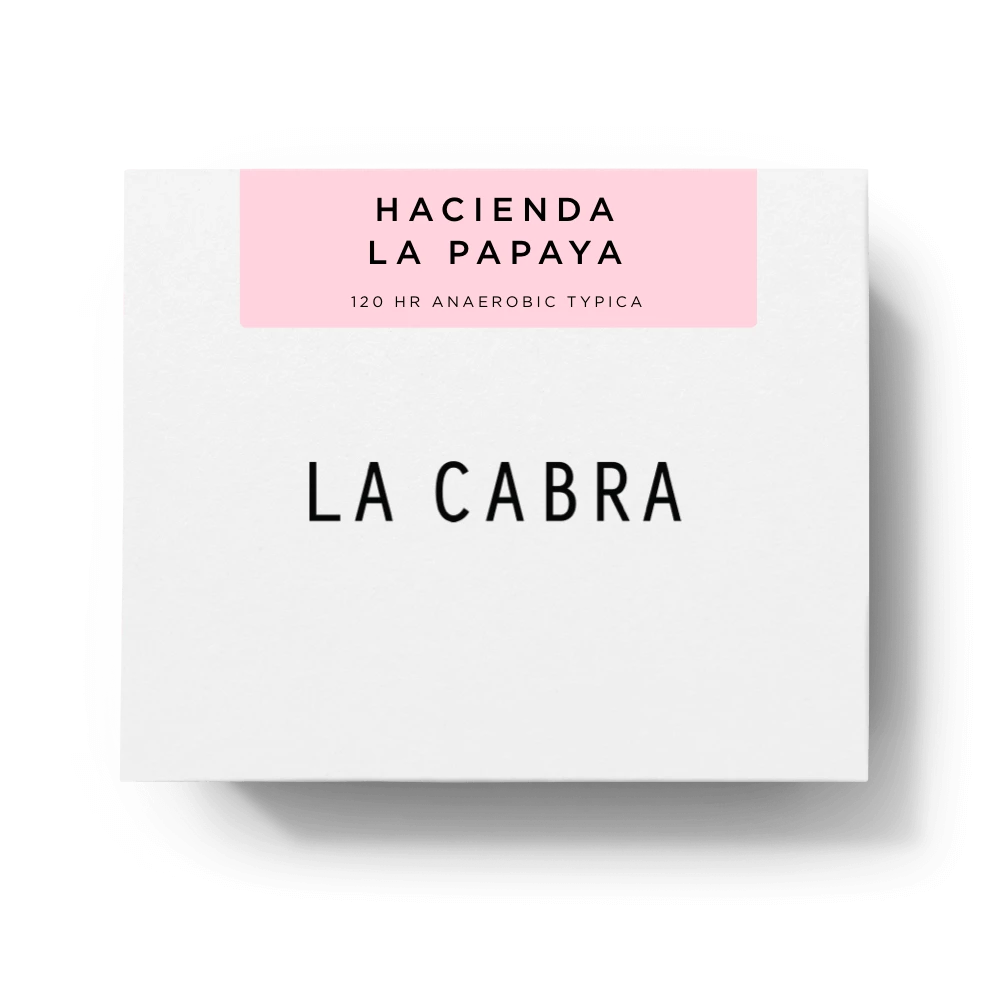 La Cabra Coffee Roasters 120hr Anaerobic Typica (Hacienda La Papaya) 3 La Cabra Coffee Roasters 120hr Anaerobic Typica (Hacienda La Papaya)